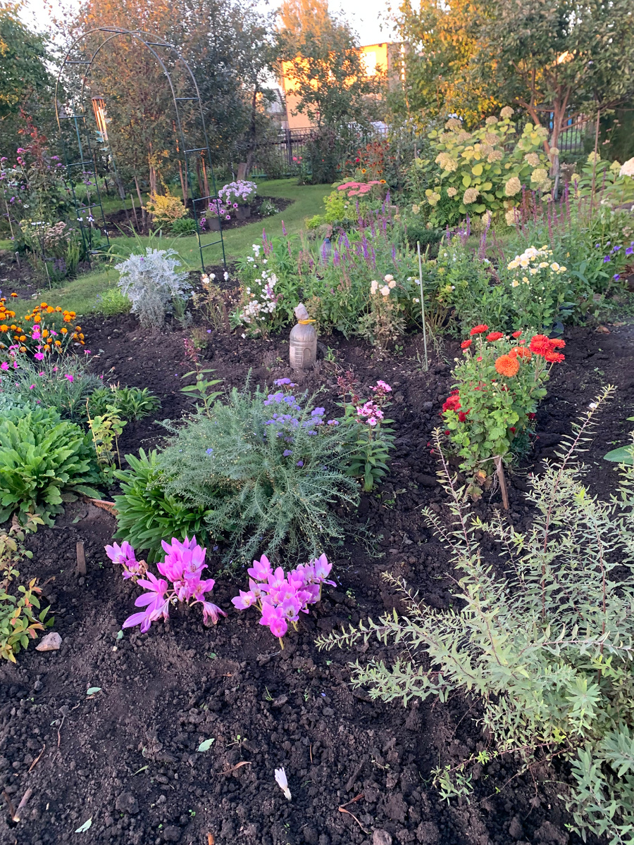 цветник, все фото автора