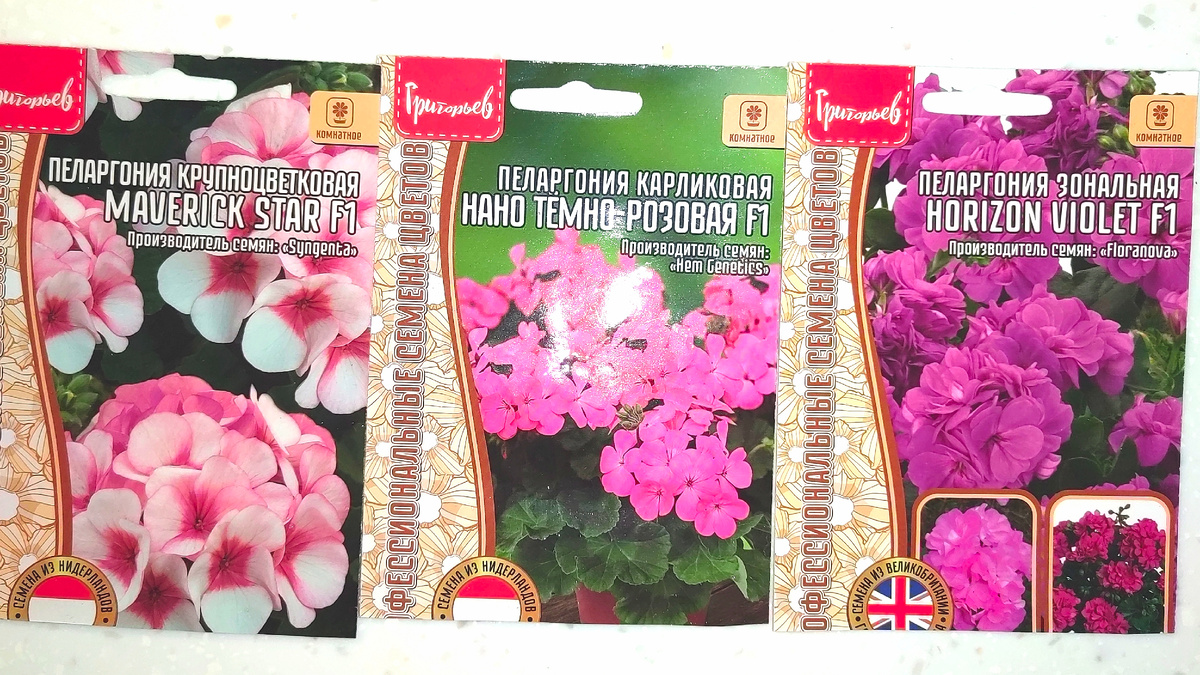 Такие сорта посеяла. Фото автора