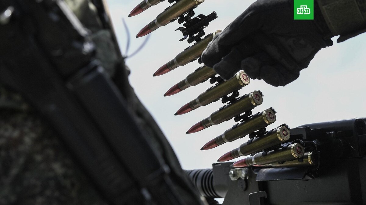    Фото: РИА Новости © 2025, Константин Михальчевский