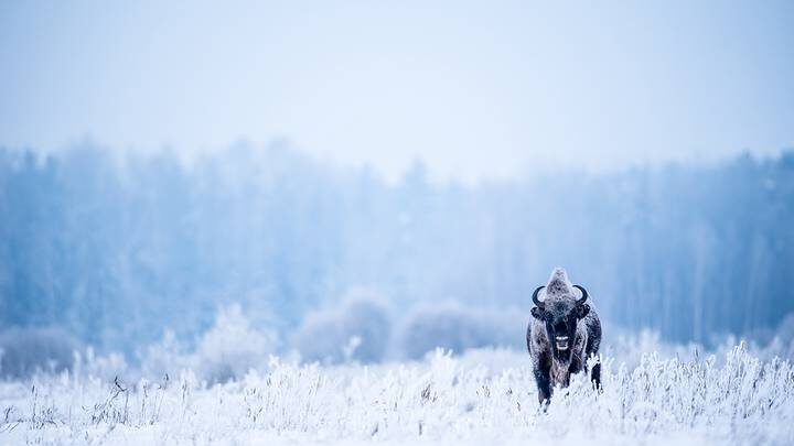  Фото: Shutterstock