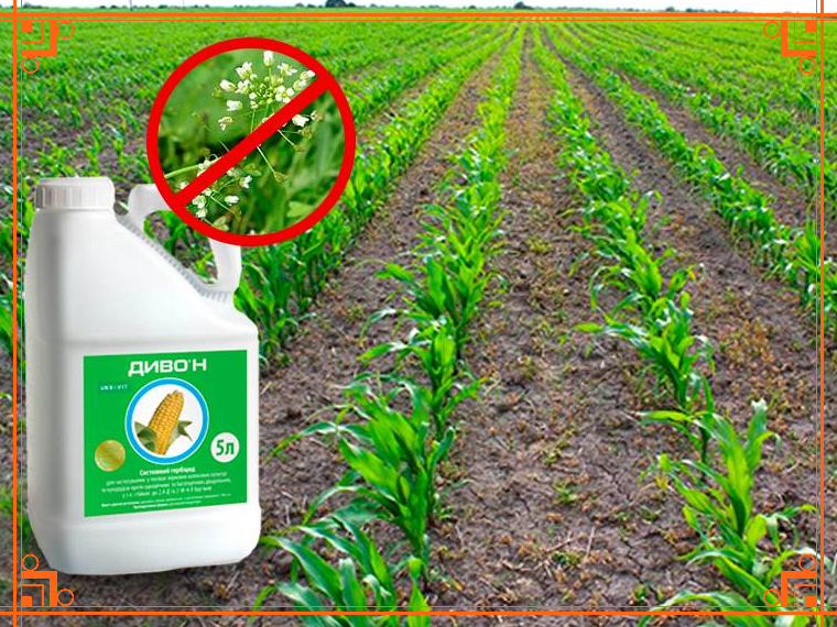 Фото из Интернета. Что такое гербициды