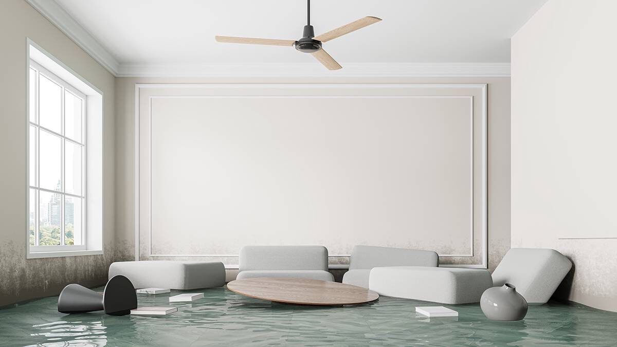    Фото: Shutterstock