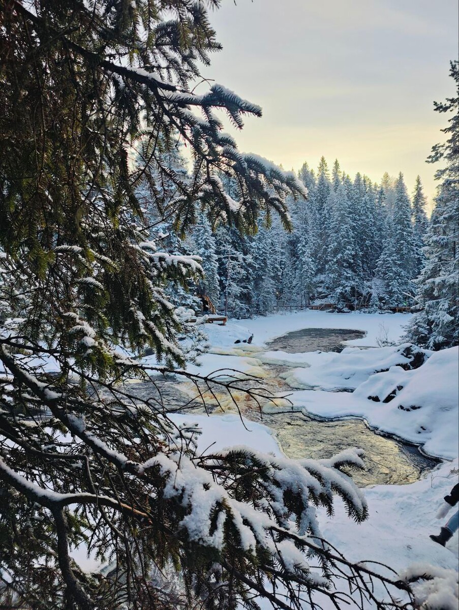 Зимы волшебство 