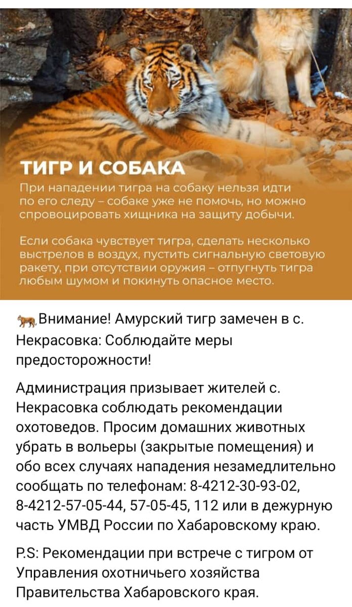 картинка нашей администрации