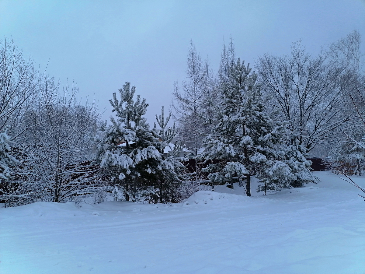 автор фото канала - В гостях уМАРИИ