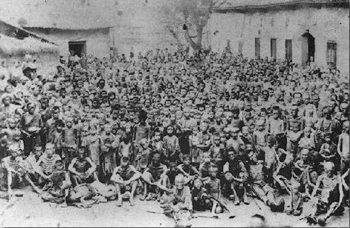 Изображение взято с сайта https://images1.epochhk.com/pictures/99789/%E5%9C%962-%E5%A4%A7%E9%A5%91%E8%8D%92@1200x1200.jpg