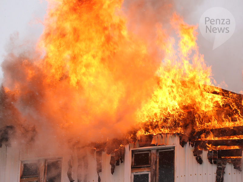    © Фото из архива ИА «PenzaNews»