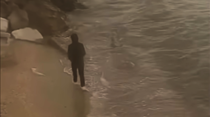 Кадры с камеры, где Анну видели последний раз. Фото: скриншот видео. 