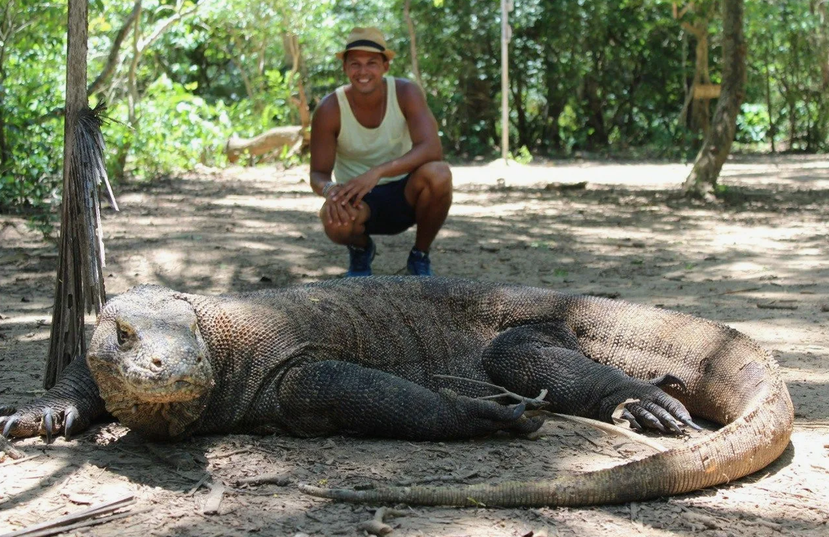 Вот это размерчик!