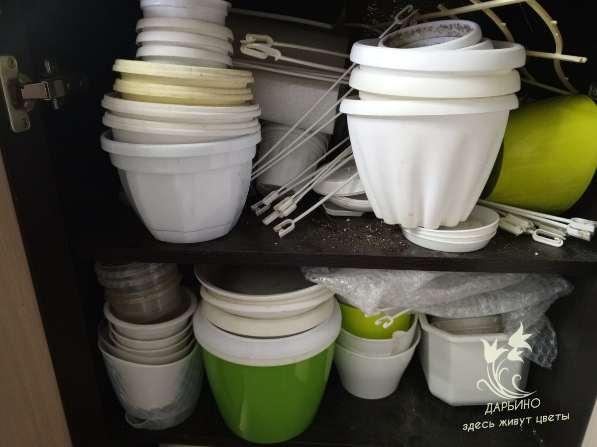 Порядком и не пахнет