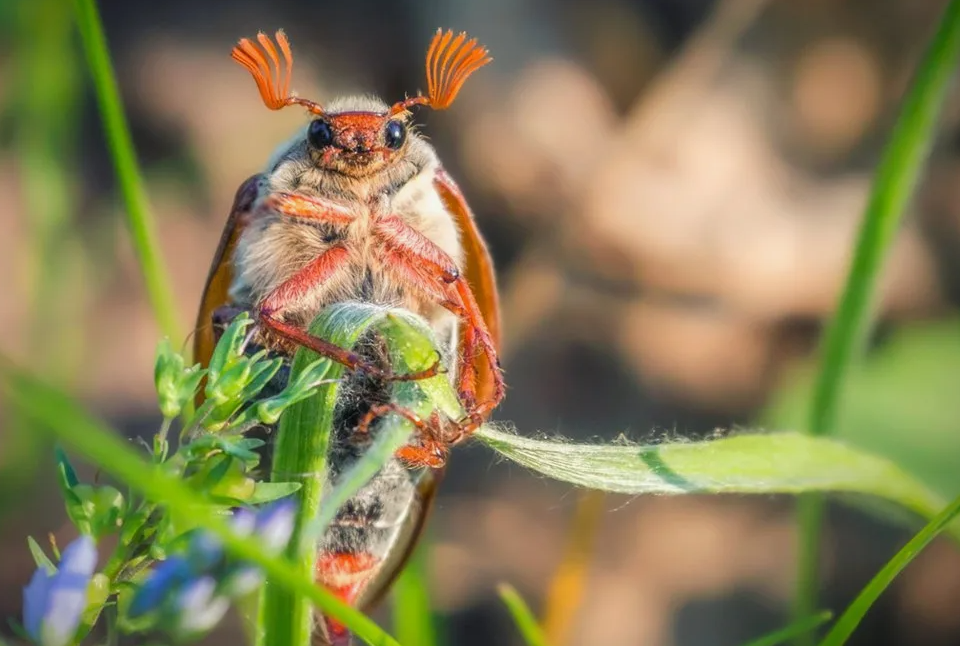 - А что я? Я ничего!