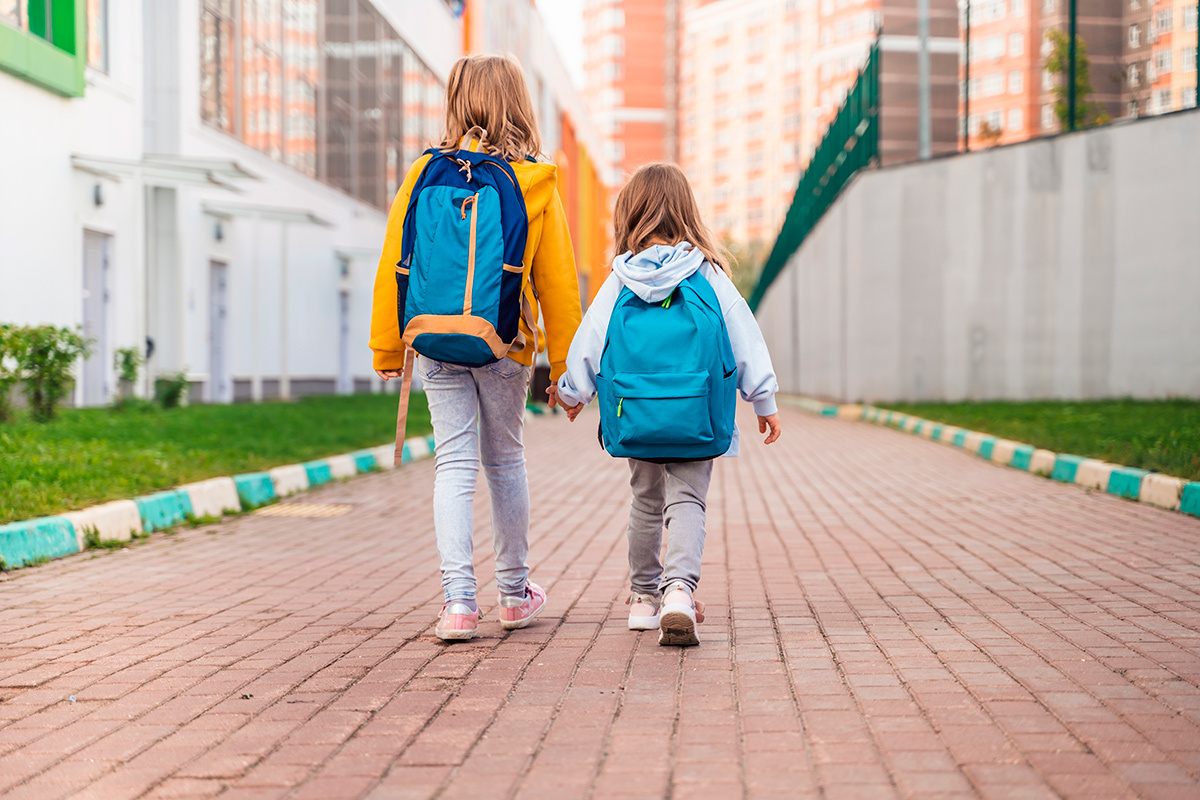    Фото: Ira Lichi / Shutterstock.com