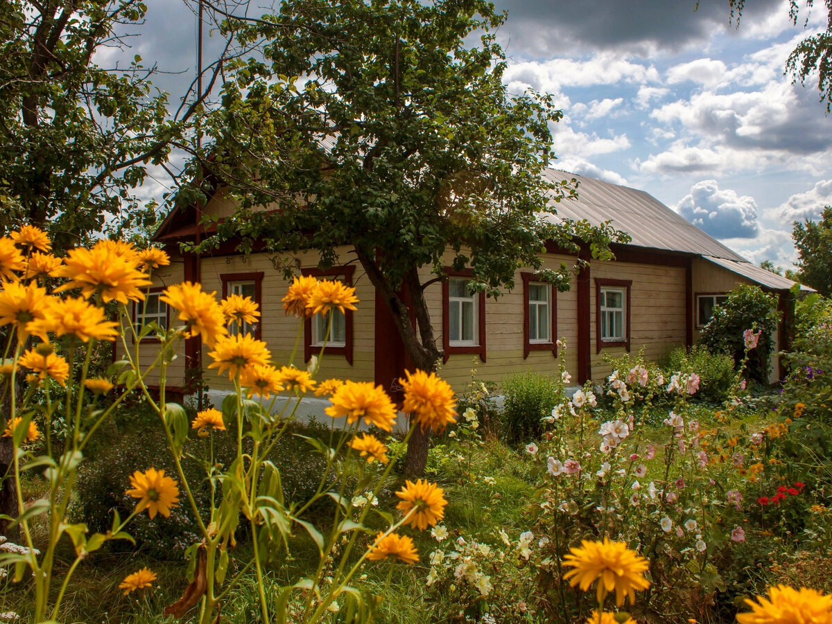 Из открытого доступа