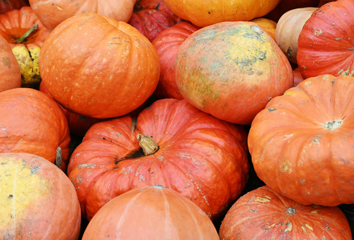 РИА Новости/Пелагия Тихонова