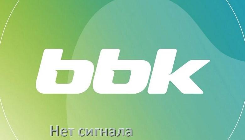 
Почему в телевизоре BBK нет сигнала и что делать