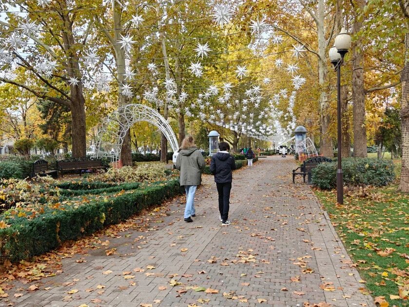    Фото: Юрий Серебренников/BFM Кубань