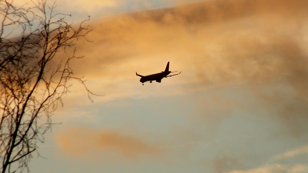    Фото: Victor Lisitsyn/Globallookpress