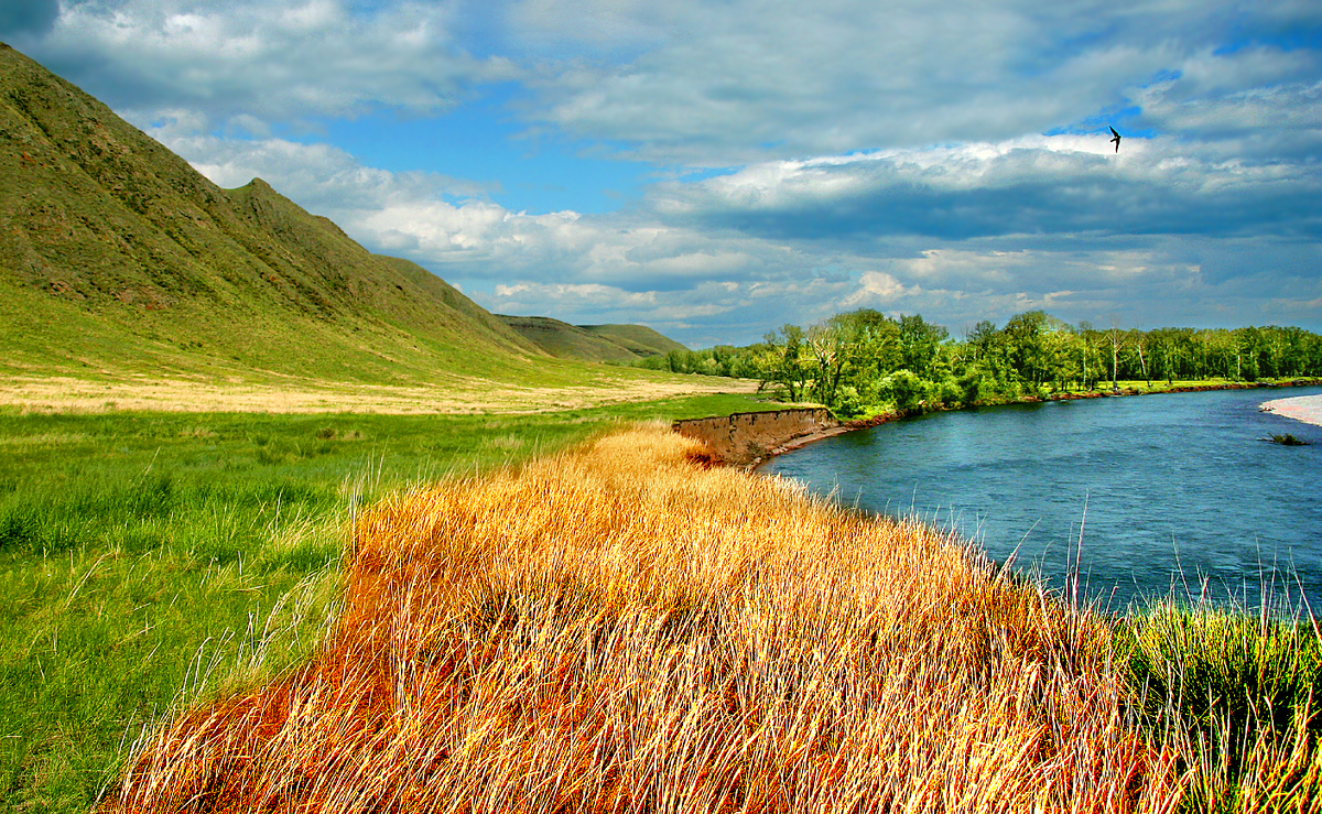 Фотография, стихотворение Василия Глуцкого