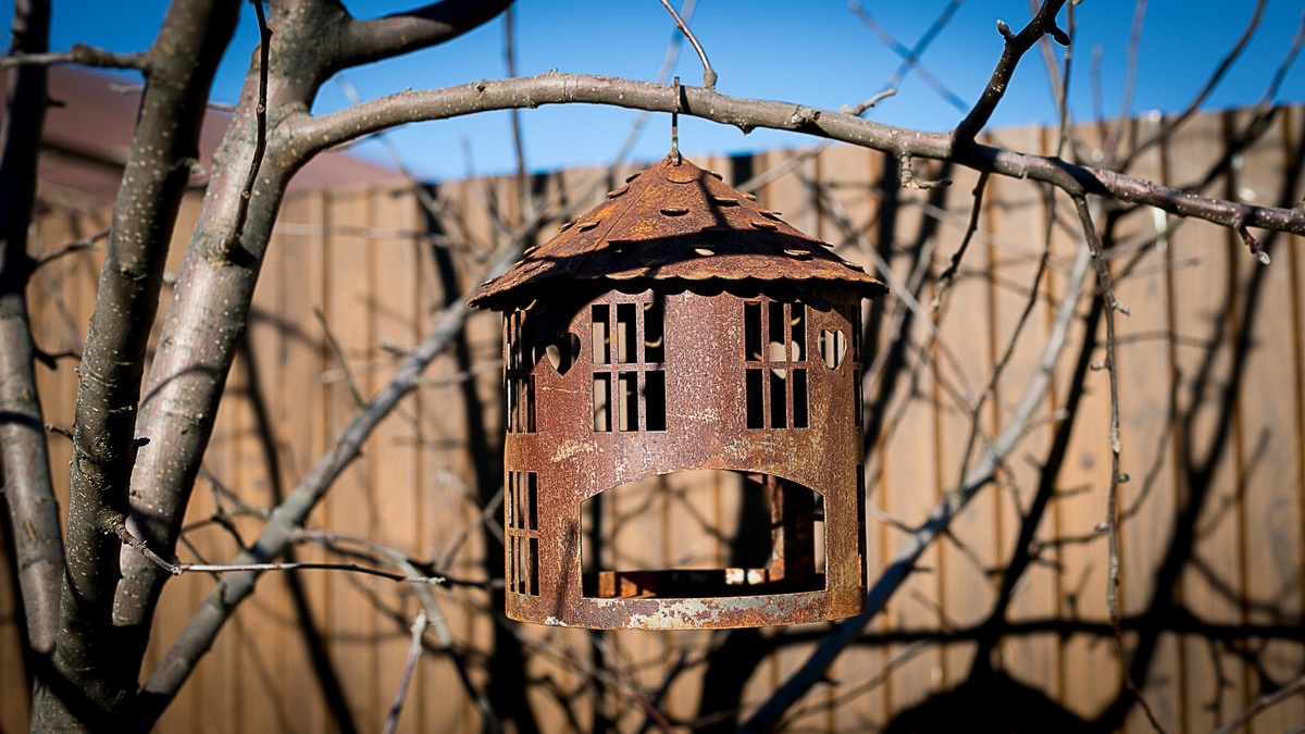 Автор Елена Якимова / Greenfingers