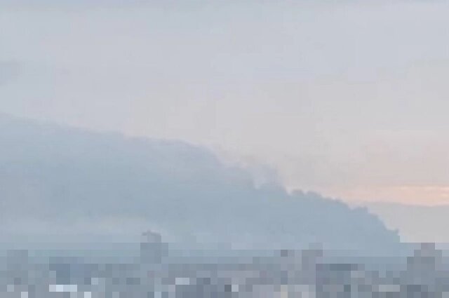    Фото: соцсети