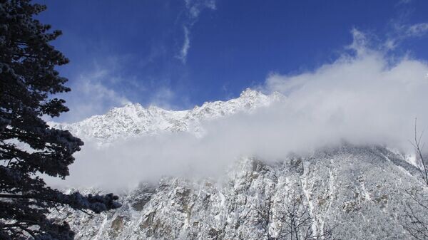    © Sputnik / Ольга Смольская