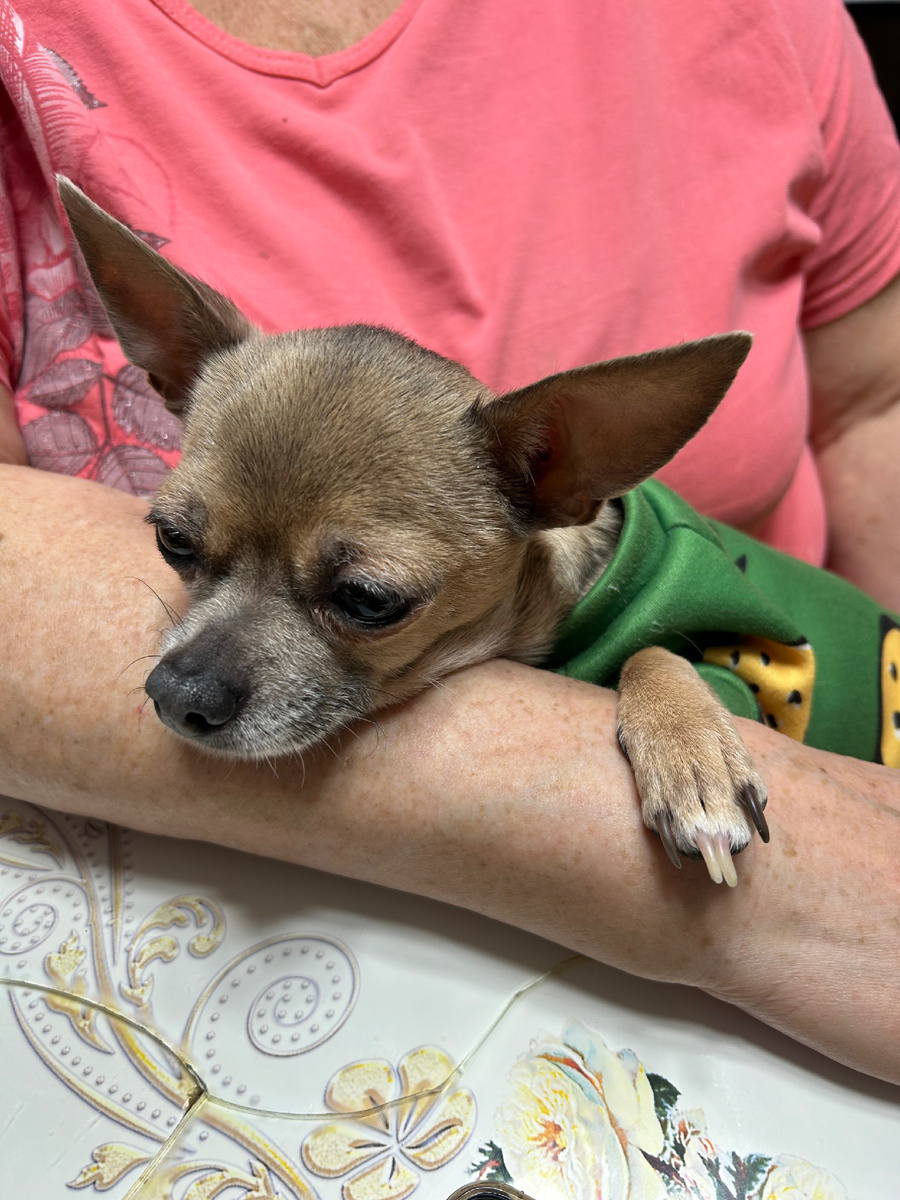 Наш недавний гость Филя