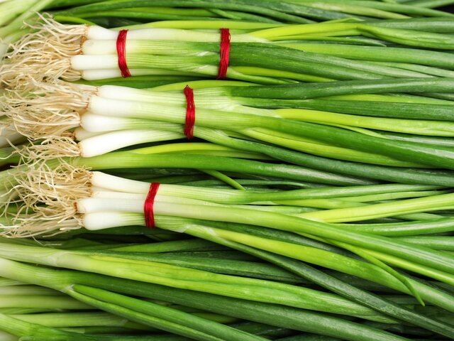    Фото: 123RF/liudmilachernetska