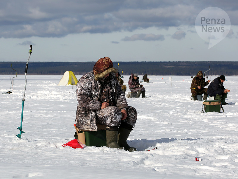    © Фото из архива ИА «PenzaNews»