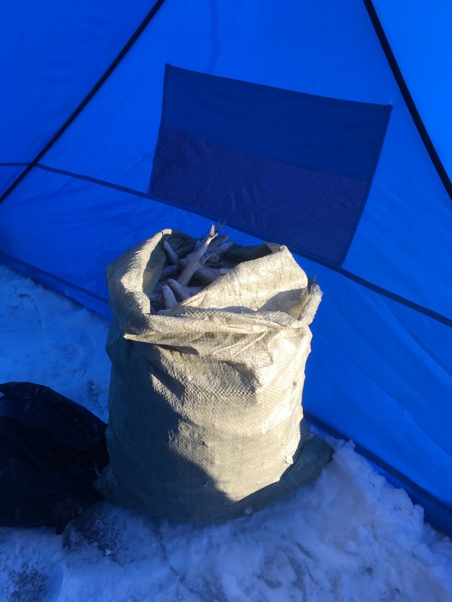     Источник: vostokmedia.com