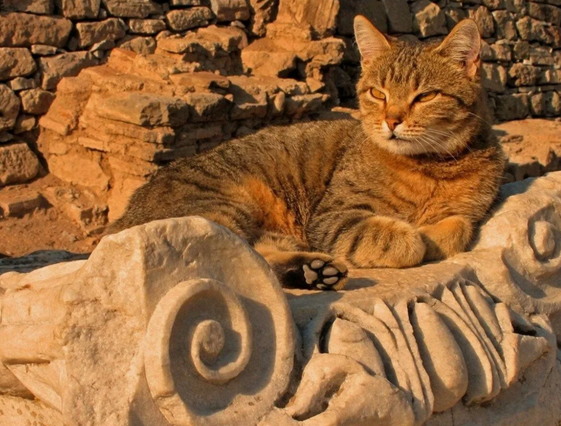 - Ну, и что ты мне поведаешь, человек?