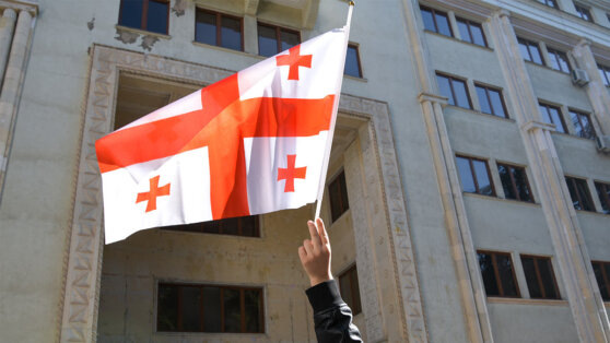    В Тбилиси заявили, что Грузии удалось избежать украинского сценария Ирина Петрова