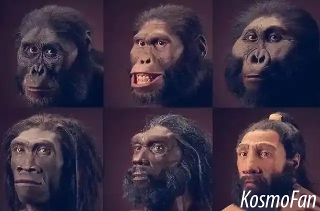 Галерея автора.