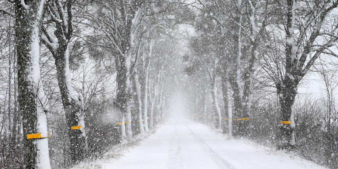 "Последние солдаты Вермахта" в зимней одежке на калининградских дорогах