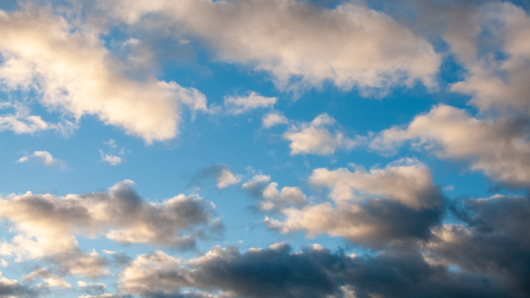    Фото: Svetlana Vozmilova/Globallookpress