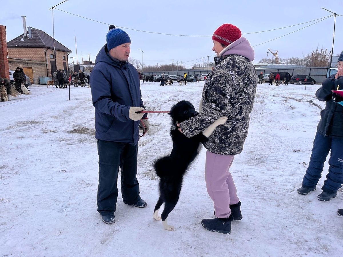 Владелец русско-европейской лайки с экспертом Е.Ю.Моховой