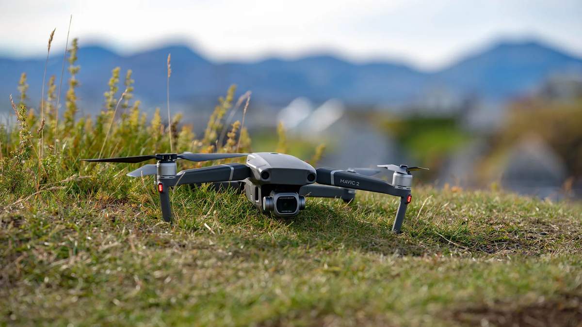 Фотография взята из Яндекс.Фото