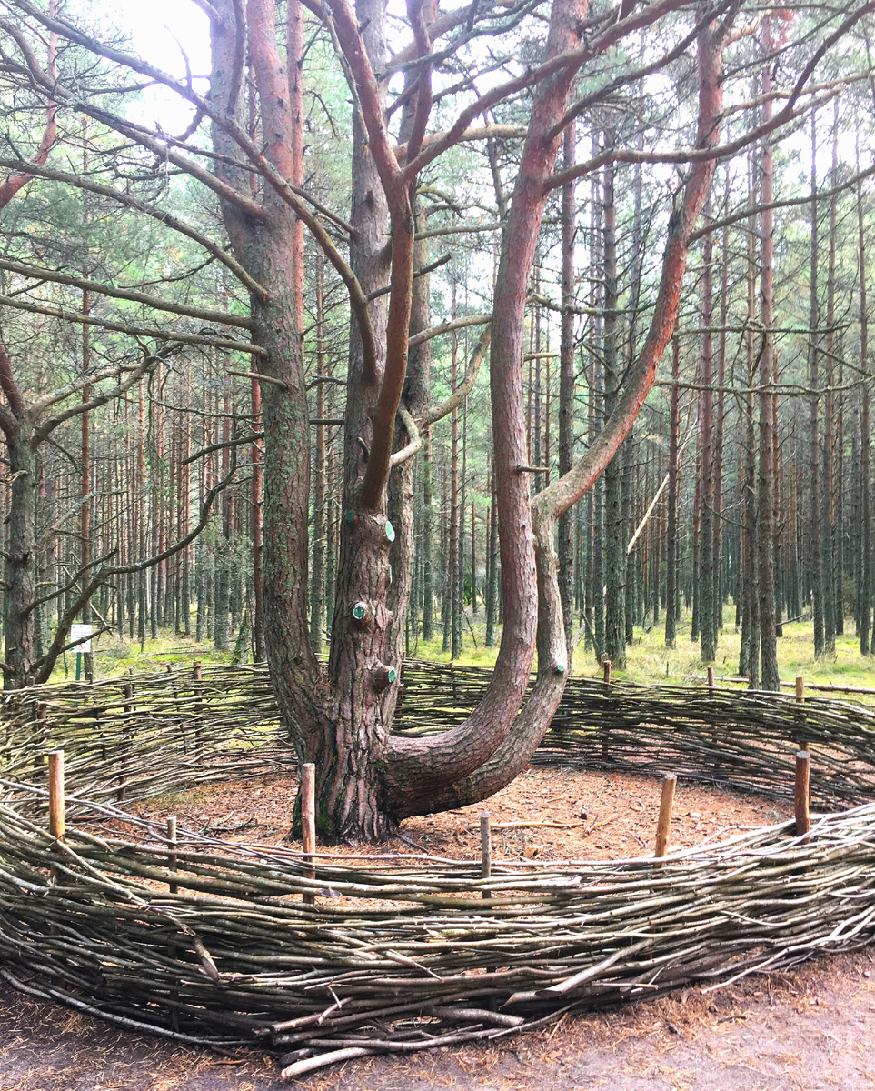 Автор фото: Наталья Пилипчак