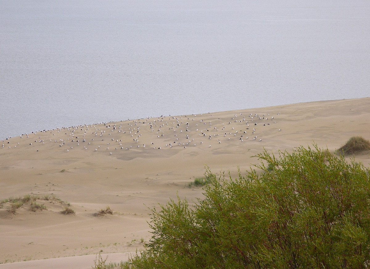 Автор фото: Наталья Пилипчак