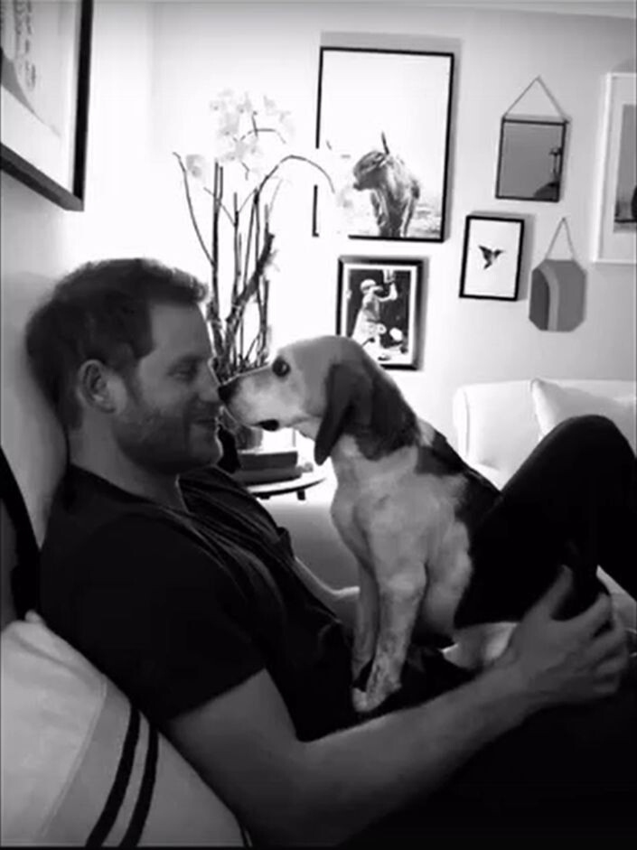 Фото - социальные сети Меган Маркл