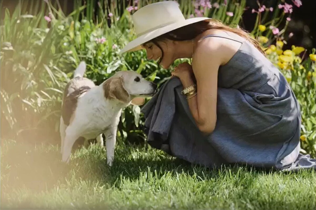 Фото - социальные сети Меган Маркл