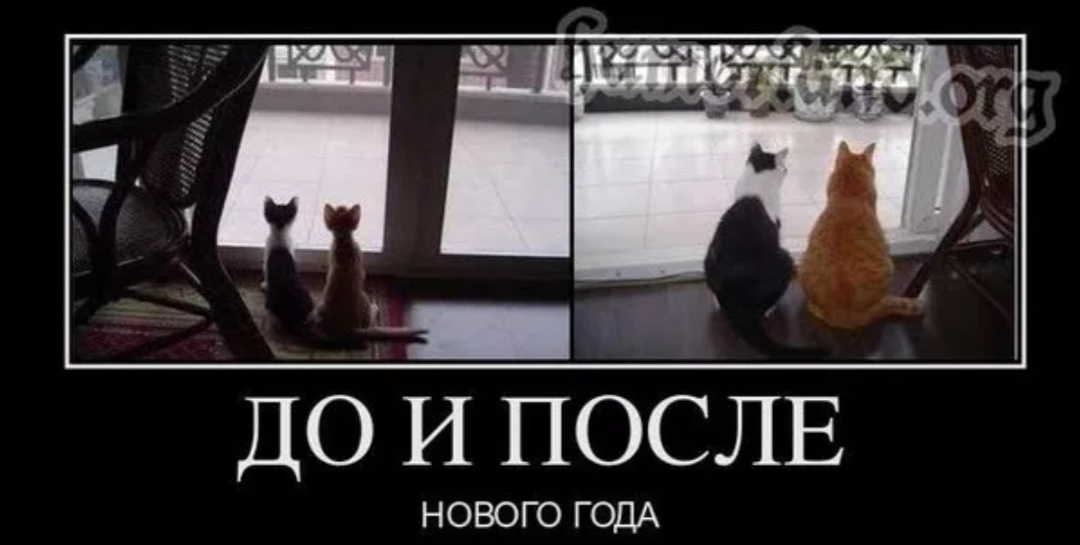 Взято из открытых источников