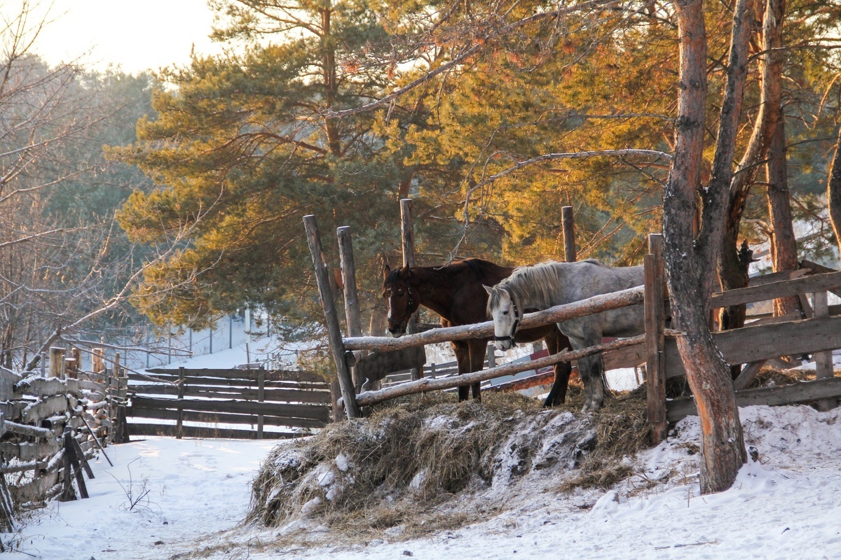 Фото: Юлия Алексеева