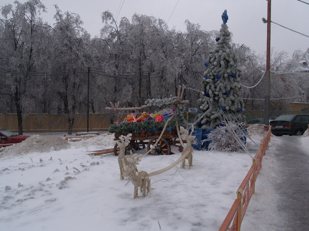 Фотография елки на углу дома с выхолом на улицу Цюрупы