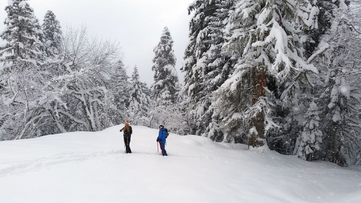 Снегоступинг в Красной Поляне