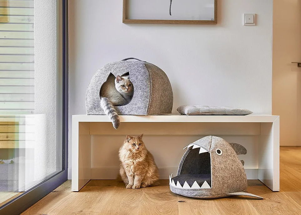 Кошки спят около 13–16 часов в сутки, что делает их одними из самых «сонливых» существ в животном мире.