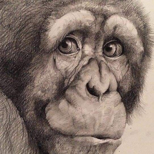 взято в сети интернет