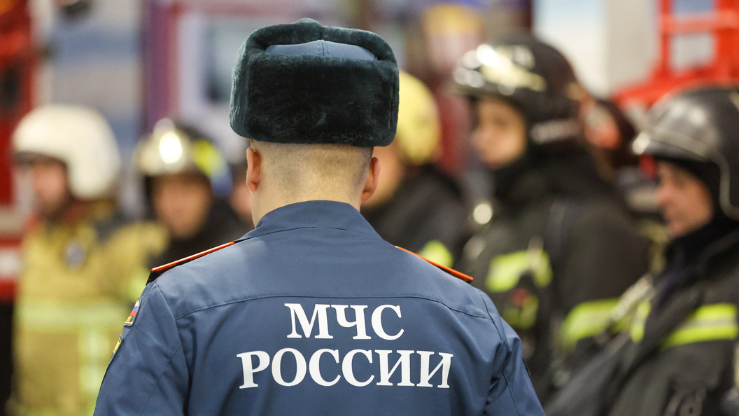    Фото: Belkin Alexey/Globallookpress