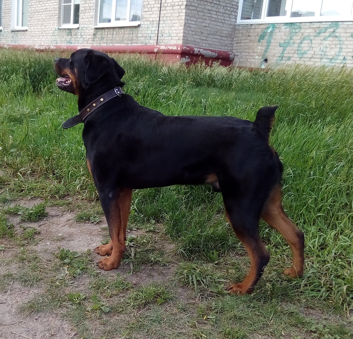 фото из личного архива