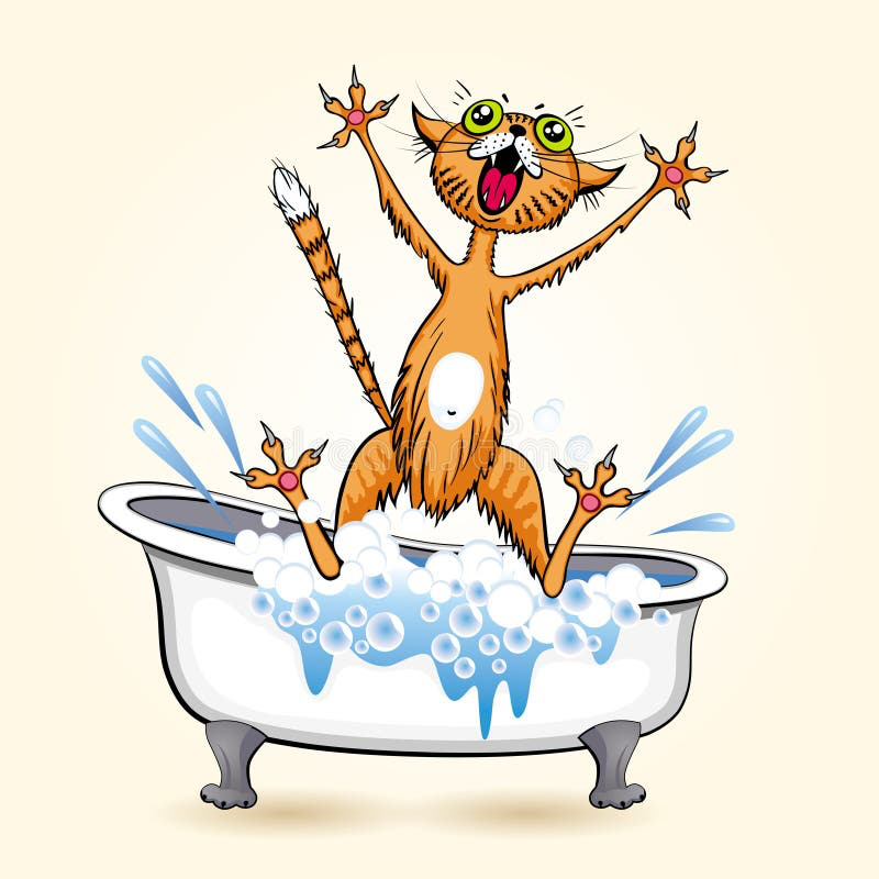 Фото из сети Интернет