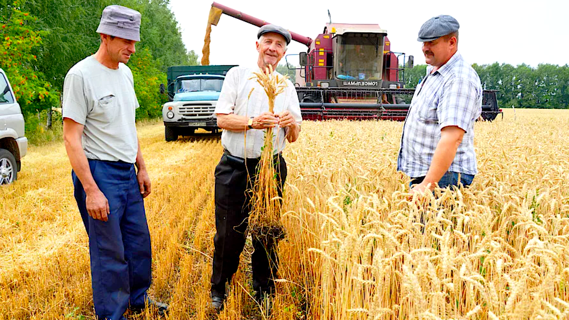 Работники полей, сельские труженники